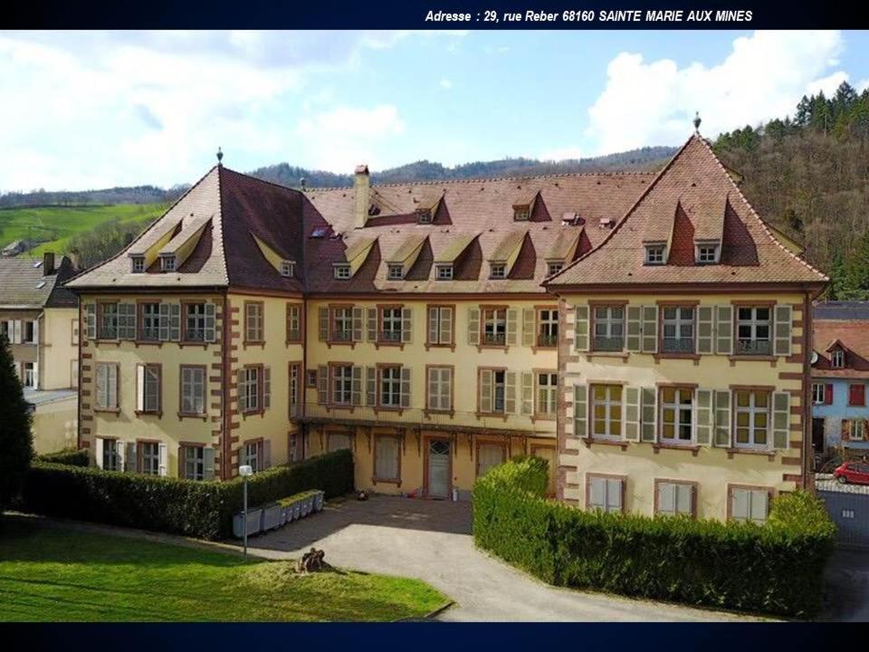 Aux Souvenirs D'Anaelle Gites 5 Personnes Sainte-Marie-aux-Mines Eksteriør bilde