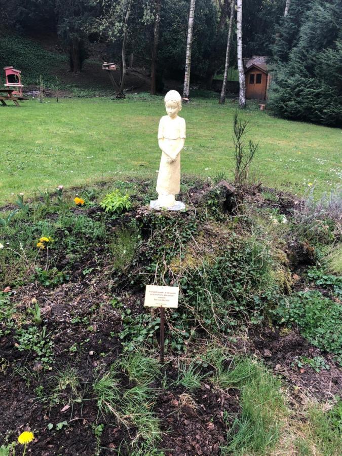 Aux Souvenirs D'Anaelle Gites 5 Personnes Sainte-Marie-aux-Mines Eksteriør bilde