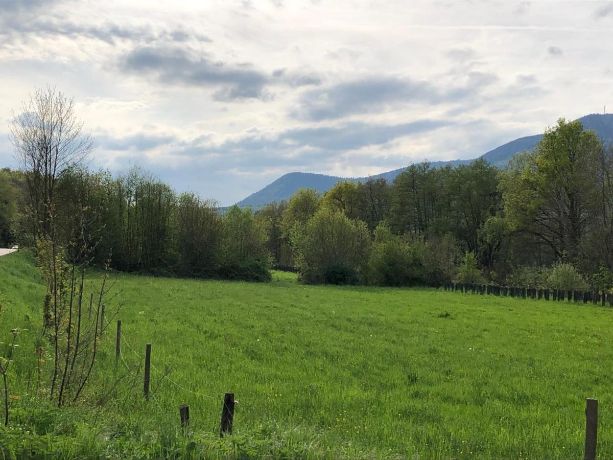 Aux Souvenirs D'Anaelle Gites 5 Personnes Sainte-Marie-aux-Mines Eksteriør bilde