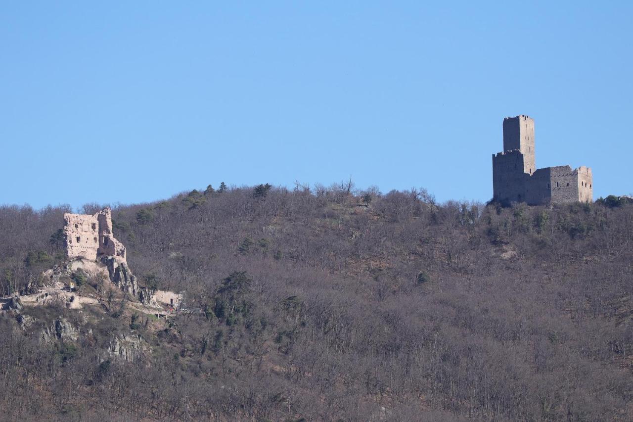 Aux Souvenirs D'Anaelle Gites 5 Personnes Sainte-Marie-aux-Mines Eksteriør bilde