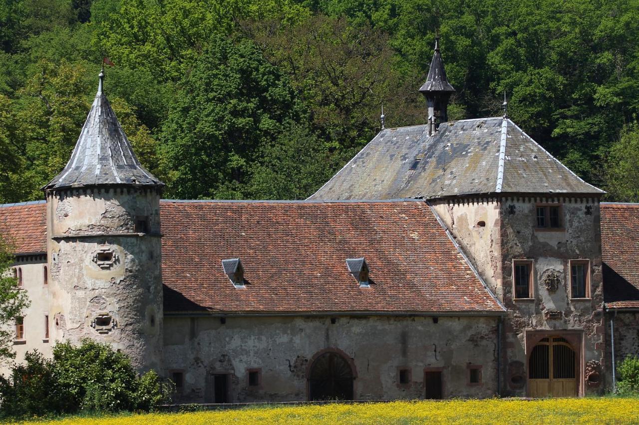 Aux Souvenirs D'Anaelle Gites 5 Personnes Sainte-Marie-aux-Mines Eksteriør bilde